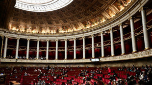 Zucman, patrimoine et retraites, "journée majeure" vendredi à l'Assemblée