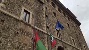 Segnalato un caso di febbre virale chikungunya a Terni