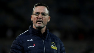 Wallabies assistant coach McKellar quits months before World Cup