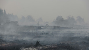 Rain brings respite as Belgium wrestles massive wildfire