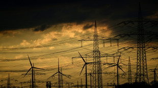 Habeck sieht Deutschland beim Klimaschutz im &ouml;konomischen Wettbewerb mit USA