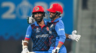 Hashmatullah dedicates Afghanistan victory to 'struggling country' 