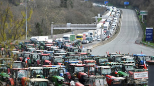 Agricultores franceses e espanh&oacute;is bloqueiam fronteira para 'ter peso' nas elei&ccedil;&otilde;es europeias