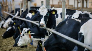 Preise f&uuml;r landwirtschaftliche Erzeugnisse deutlich geringer als im Vorjahr
