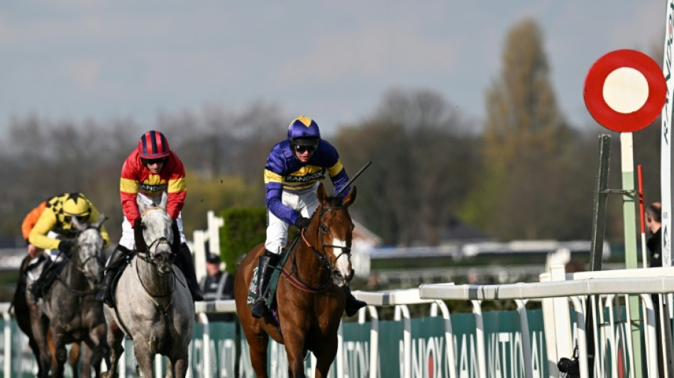 Grand National field cut as part of safety moves