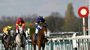 Grand National field cut as part of safety moves