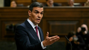S&aacute;nchez verteidigt B&uuml;ndnis mit katalanischen Unabh&auml;ngigkeitsbef&uuml;rwortern