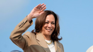 Democratas come&ccedil;am vota&ccedil;&atilde;o para confirmar a candidatura de Kamala Harris