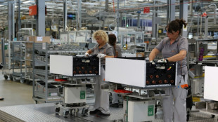 Gr&uuml;ne pochen auf "Milliarden-Programm" f&uuml;r Heizungstausch