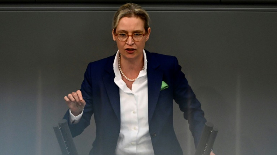 AfD will Kanzlerkandidaten f&uuml;r Bundestagswahl 2025 aufstellen