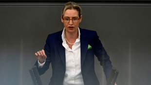 AfD will Kanzlerkandidaten f&uuml;r Bundestagswahl 2025 aufstellen