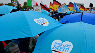 "Redaktionelles Versehen": AfD wollte versehentlich Aufl&ouml;sung der EU fordern