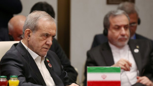 Iran president offers US olive branch before Putin meeting