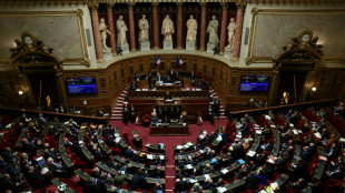 "Plusieurs appels par jour, c'était infernal": le Parlement s'apprête à interdire le démarchage téléphonique non consenti