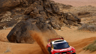 Loeb rebounds to deny 'Mr Dakar' Peterhansel 50th stage win