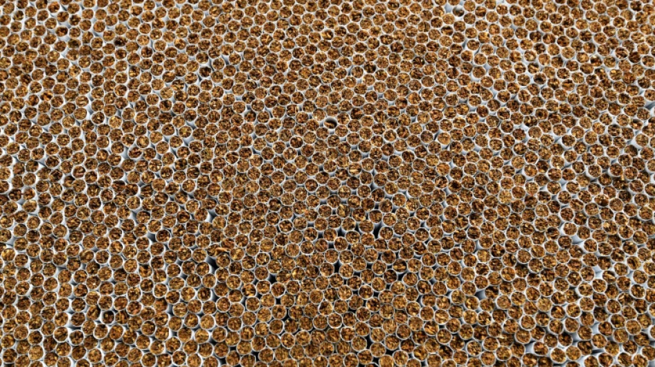 Schlag gegen illegale Zigarettenherstellung: Festnahmen in Berlin und Brandenburg