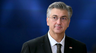 Bundeskanzler Merz empf&auml;ngt kroatischen Ministerpr&auml;sidenten Plenkovic in Berlin