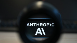 El modelo de IA de Anthropic accedi&oacute; a datos de votantes de EEUU (medios)