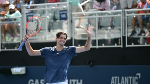 Top-seeded Fritz powers into Atlanta final against Vukic