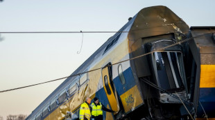 Pays-Bas: au moins un mort dans le d&eacute;raillement d'un train