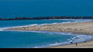 Nordsee 2025 so warm wie nie - st&auml;rkster Eiswinter an K&uuml;sten seit 15 Jahren