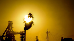 Consiglio Stato, 'può continuare attività produttiva Ilva'