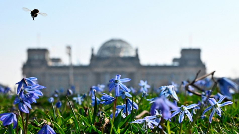 &Ouml;zdemir und Paus stehen im Bundestag Rede und Antwort