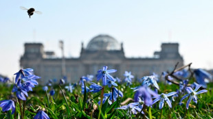 &Ouml;zdemir und Paus stehen im Bundestag Rede und Antwort