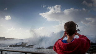 Chegadas de imigrantes irregulares &agrave; Espanha ca&iacute;ram mais de 40% em 2025