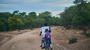 Zimbabwean schoolkids cycle past elephant danger