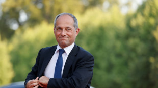 Fr&eacute;d&eacute;ric Oud&eacute;a propos&eacute; comme pr&eacute;sident non ex&eacute;cutif du conseil d'administration de Sanofi