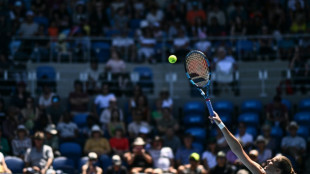 'Super aggressive' Pliskova powers into Melbourne Park last eight
