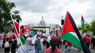 Milhares de pessoas protestam contra Netanyahu no Capit&oacute;lio, em Washington