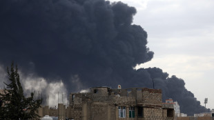 Houthi, pronti a stop raid su navi Usa, non contro Israele