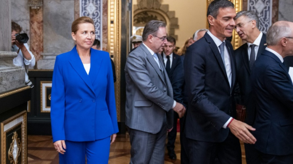 Mehr als 40 Länder Europas treffen sich zu Gipfel in Kopenhagen