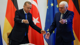 Steinmeier empf&auml;ngt Erdogan zu umstrittenen Besuch in Berlin