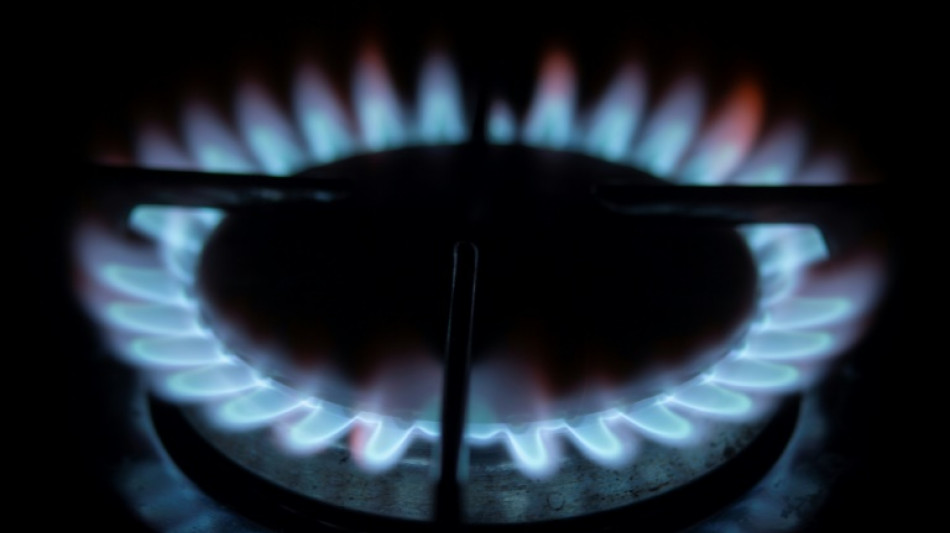 Francia dej&oacute; de recibir gas ruso por gasoducto, seg&uacute;n el operador de red