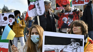 Iran&iacute;es se manifiestan en Kiev en solidaridad con Ucrania
