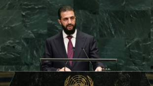 Syriens &Uuml;bergangspr&auml;sident bekr&auml;ftigt vor der UNO Anspruch auf den Golan