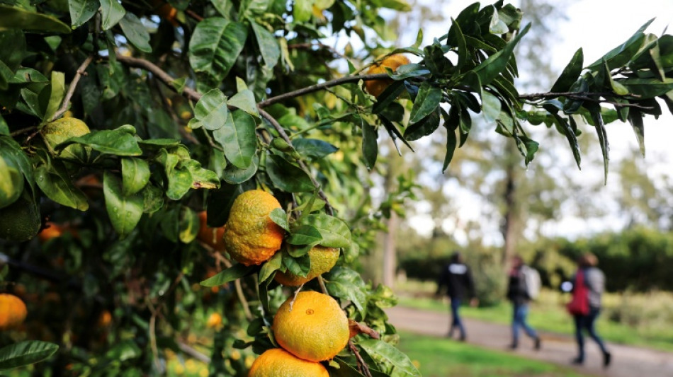 La Uni&oacute;n Europea alcanza un acuerdo para desarrollar cultivos con t&eacute;cnicas gen&oacute;micas