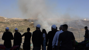 'Morti negli scontri in città siriana Sweida salgono a 350'