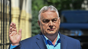 En Hongrie, la chasse &agrave; la corruption sous le r&eacute;gime Orban se heurte &agrave; la r&eacute;alit&eacute;