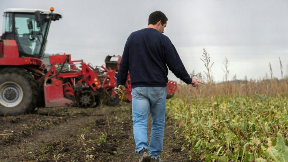 Pesticides: la bataille tactique s'ouvre à l'Assemblée sur la loi Duplomb