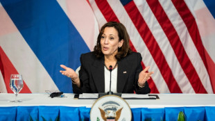 Coqueiros, gargalhadas e dan&ccedil;as - memes de Kamala Harris inundam a internet