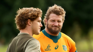 Jones rings changes at start of second stint as Australia coach