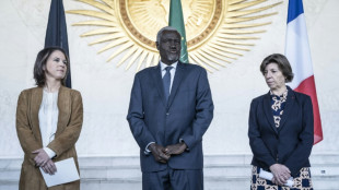 Deutschland und Frankreich rufen Afrika zur Verurteilung von Russlands Angriffskrieg auf