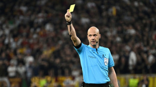 Referees' group condemns 'abhorrent' Taylor abuse in Budapest