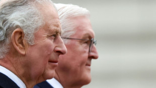 Steinmeier w&uuml;rdigt Charles-Besuch als "gro&szlig;artige pers&ouml;nliche Geste"
