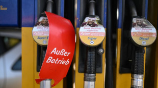 Alemania recurre al carb&oacute;n ante la disminuci&oacute;n de gas ruso