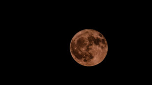 La Luna potrebbe essersi formata in una manciata di ore